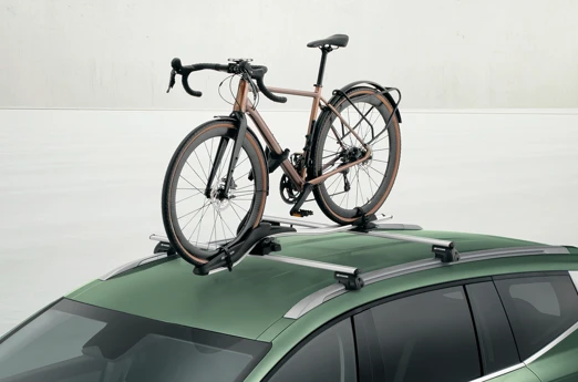 GO211ADE00AL 99700ADE01 IM Emotional Image 15